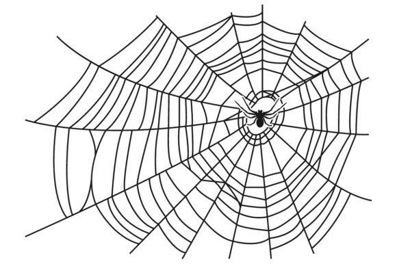 Download Halloween Spider Web Vector - Spider web vector Collection