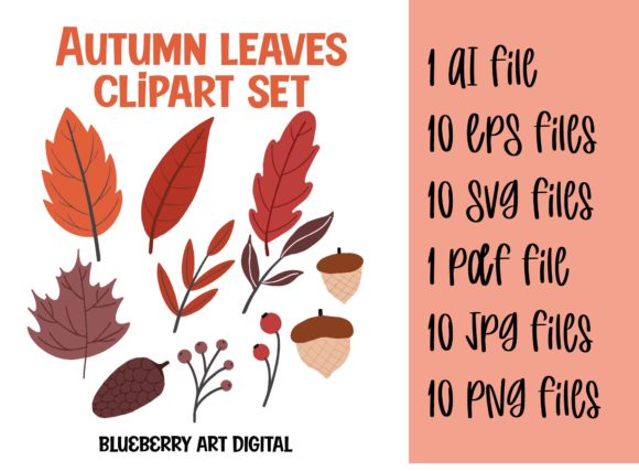 Download Autumn Foliage Leaves Clipart Set - Leaves Collection