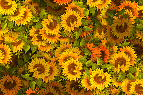 Download Sunflower Pattern High Quality - Pattern Collection
